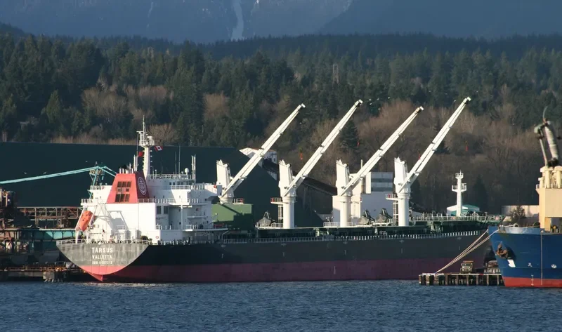 HANNAH S Bulk Carrier IMO 9487213 photo 4