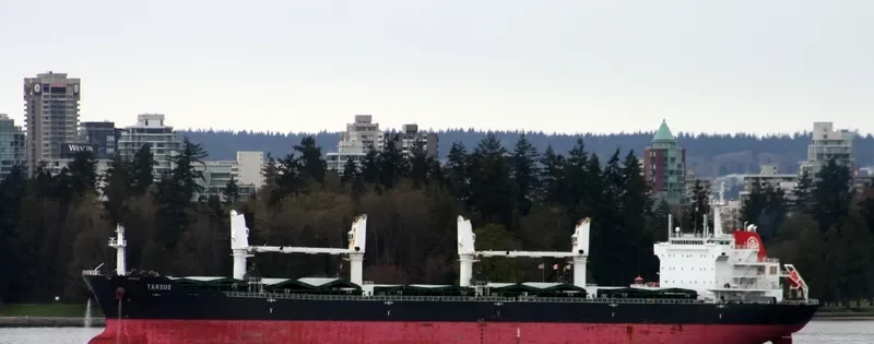 HANNAH S Bulk Carrier IMO 9487213 photo 5