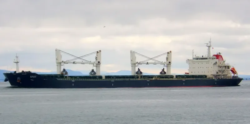 KIRWAN Bulk Carrier IMO 9487225 photo 6