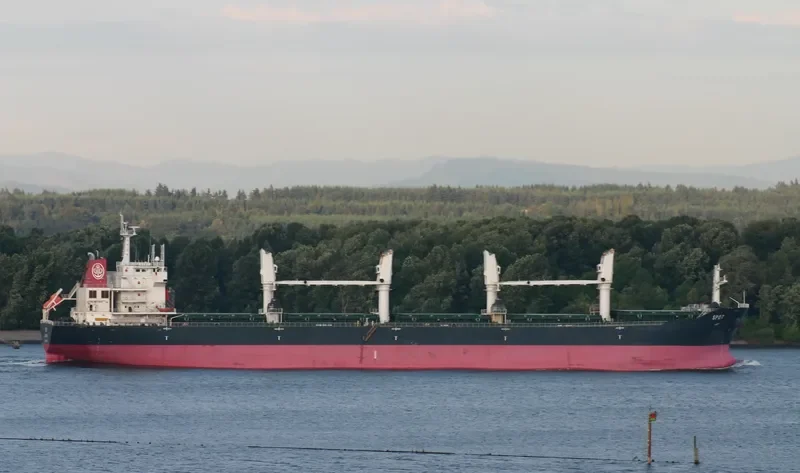 KIRWAN Bulk Carrier IMO 9487225 photo 7