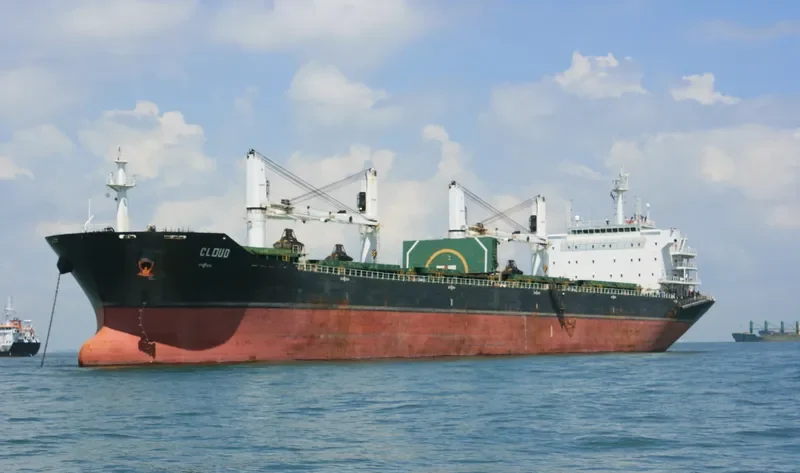 GISCOURS Bulk Carrier IMO 9487237