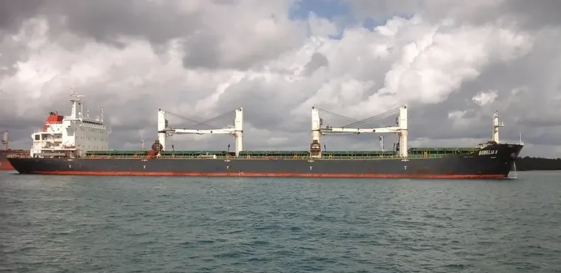 GISCOURS Bulk Carrier IMO 9487237 photo 2