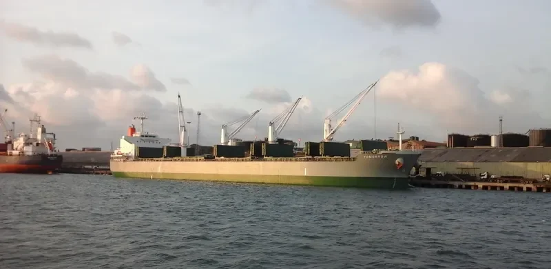 GISCOURS Bulk Carrier IMO 9487237 photo 3