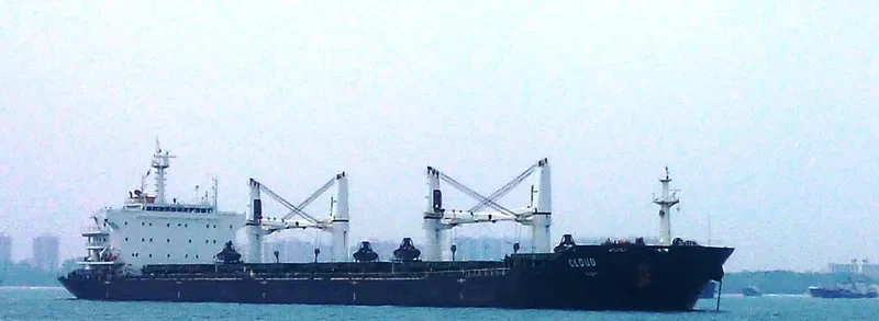 GISCOURS Bulk Carrier IMO 9487237 photo 4