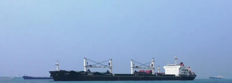 GISCOURS Bulk Carrier IMO 9487237 photo 5