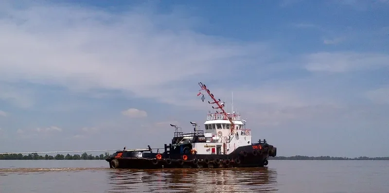 TERIK General Cargo IMO 9487354 photo 2