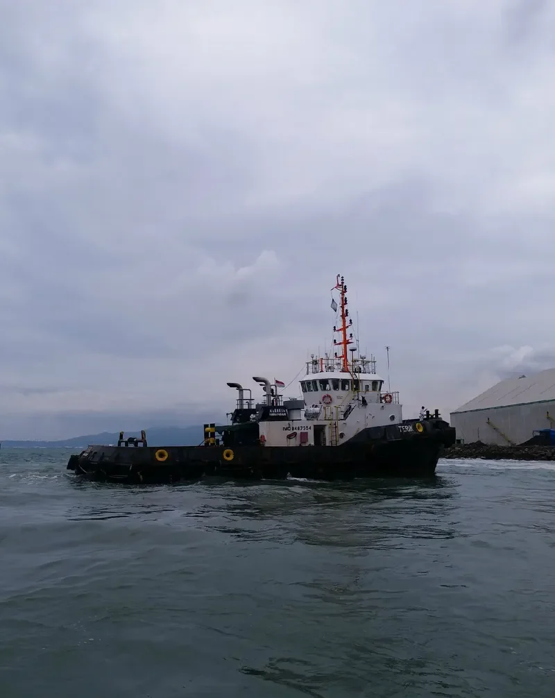 TERIK General Cargo IMO 9487354 photo 6