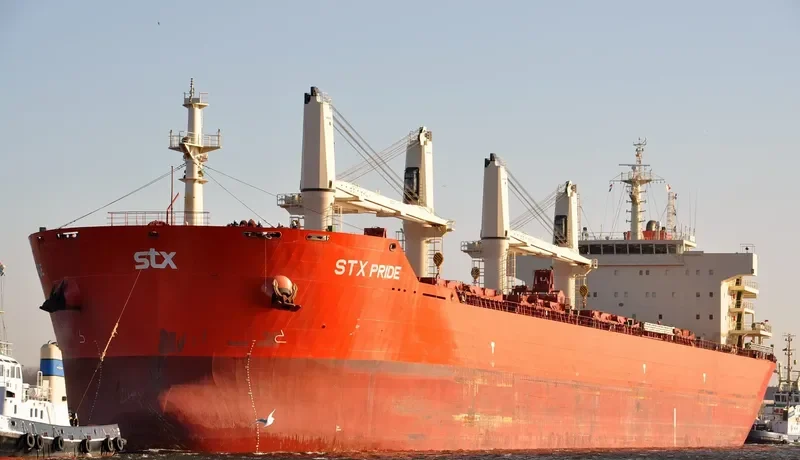 PAN PRIDE Bulk Carrier IMO 9487407 photo 5
