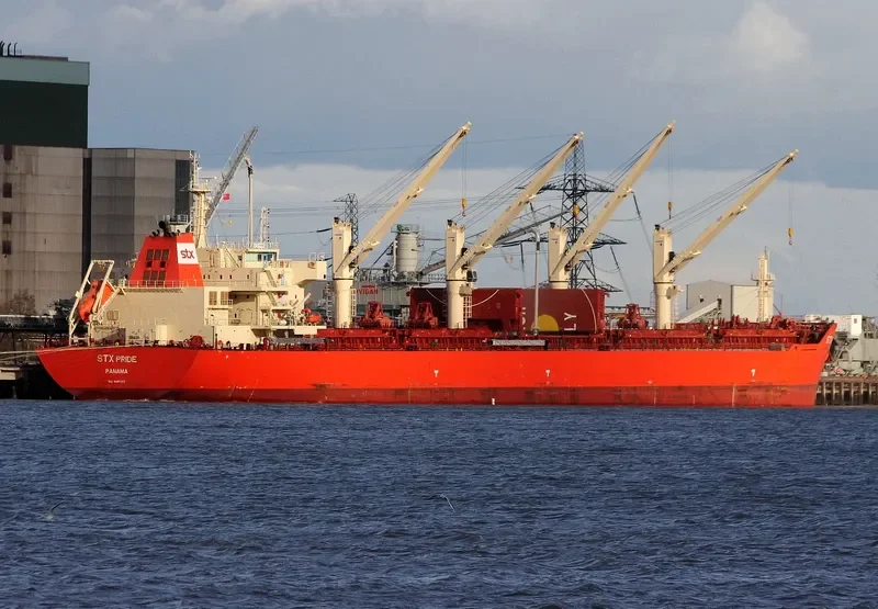 PAN PRIDE Bulk Carrier IMO 9487407 photo 6