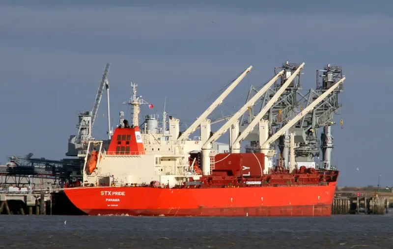 PAN PRIDE Bulk Carrier IMO 9487407 photo 7