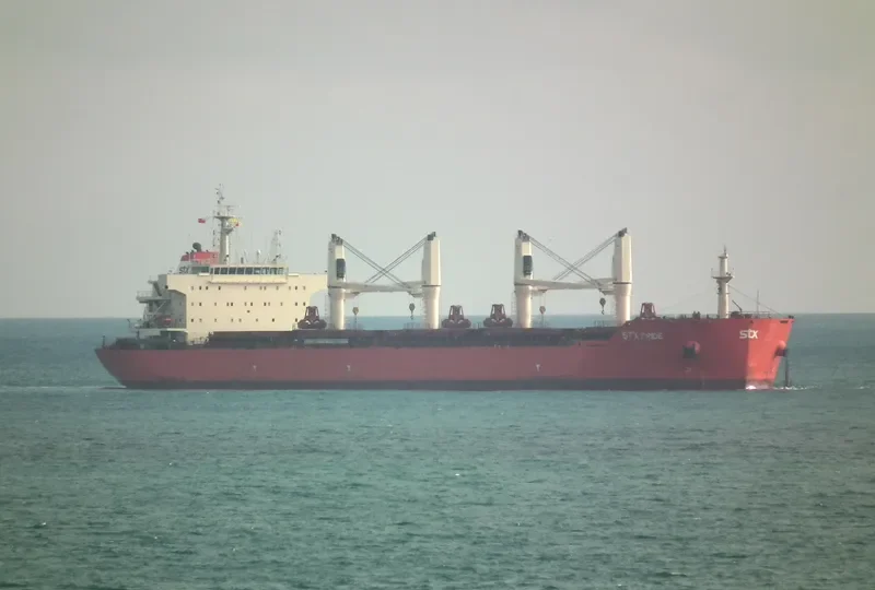 PAN PRIDE Bulk Carrier IMO 9487407 photo 8