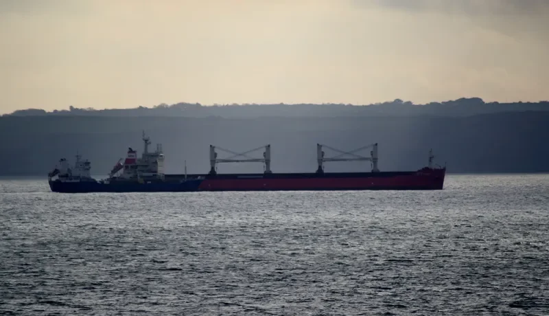 PAN PRIDE Bulk Carrier IMO 9487407 photo 9