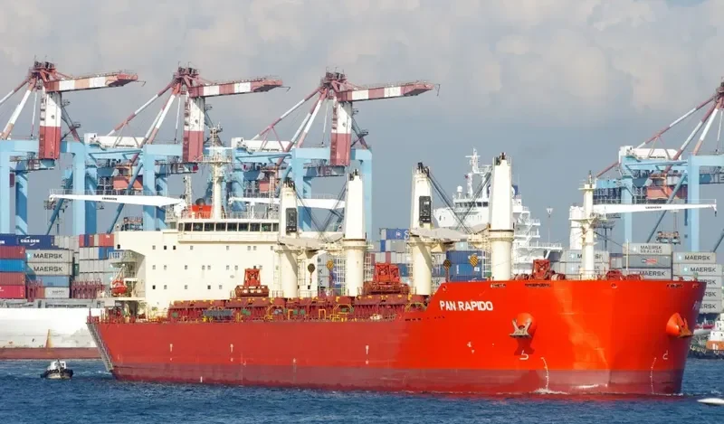PAN RAPIDO Bulk Carrier IMO 9487421