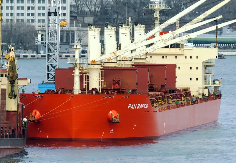 PAN RAPIDO Bulk Carrier IMO 9487421 photo 2