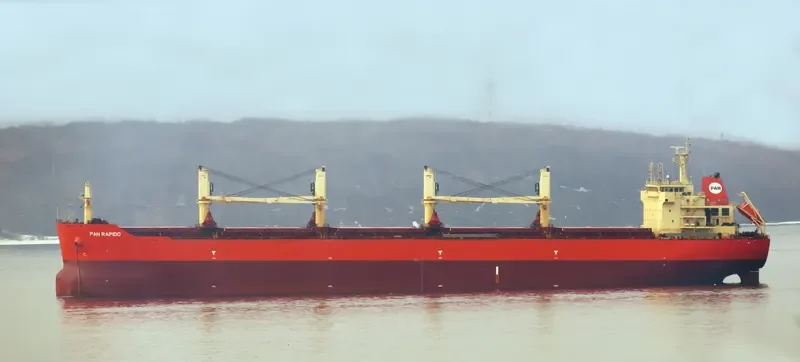 PAN RAPIDO Bulk Carrier IMO 9487421 photo 6