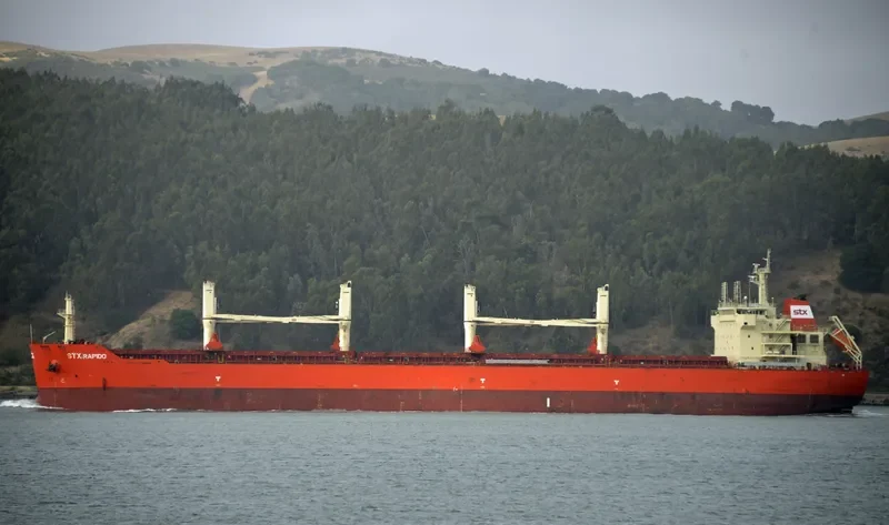 PAN RAPIDO Bulk Carrier IMO 9487421 photo 7