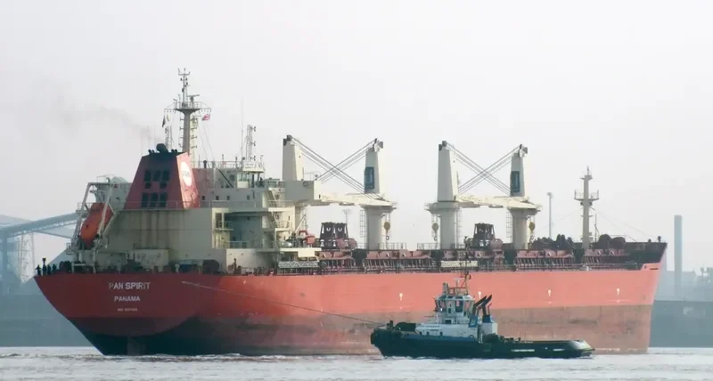 PAN SPIRIT Bulk Carrier IMO 9487433 photo 6