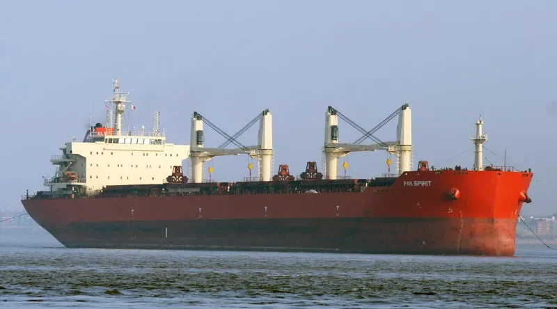 PAN SPIRIT Bulk Carrier IMO 9487433 photo 7
