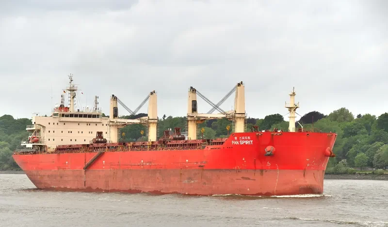 PAN SPIRIT Bulk Carrier IMO 9487433 photo 10