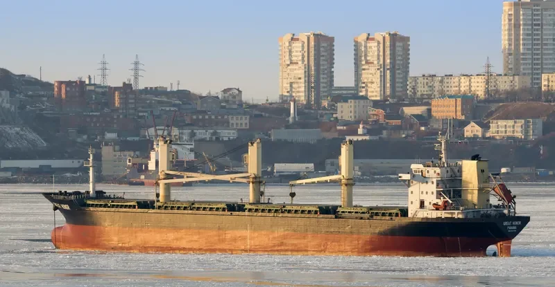 GREAT HONOR Bulk Carrier IMO 9487500 photo 3