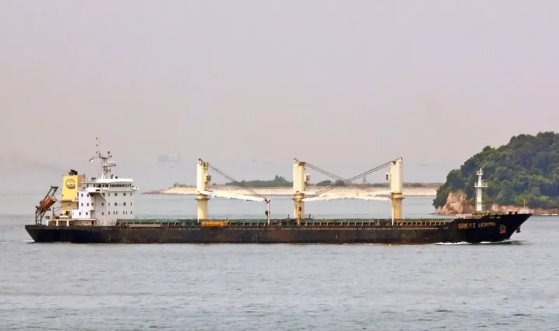 GREAT HONOR Bulk Carrier IMO 9487500 photo 7