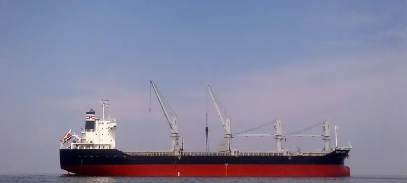 RUBATO Bulk Carrier IMO 9487550 photo 3