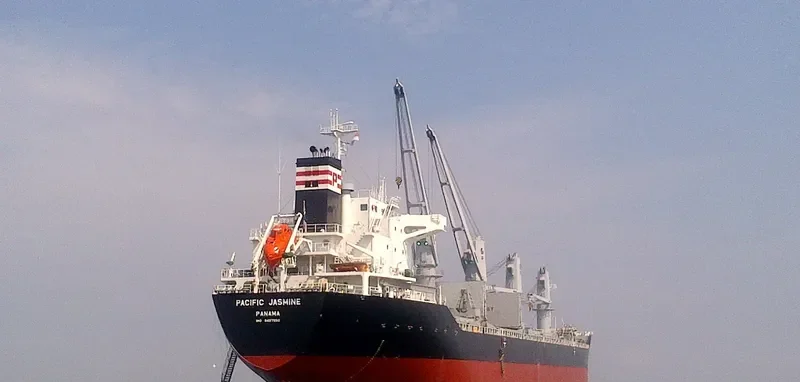 RUBATO Bulk Carrier IMO 9487550 photo 4