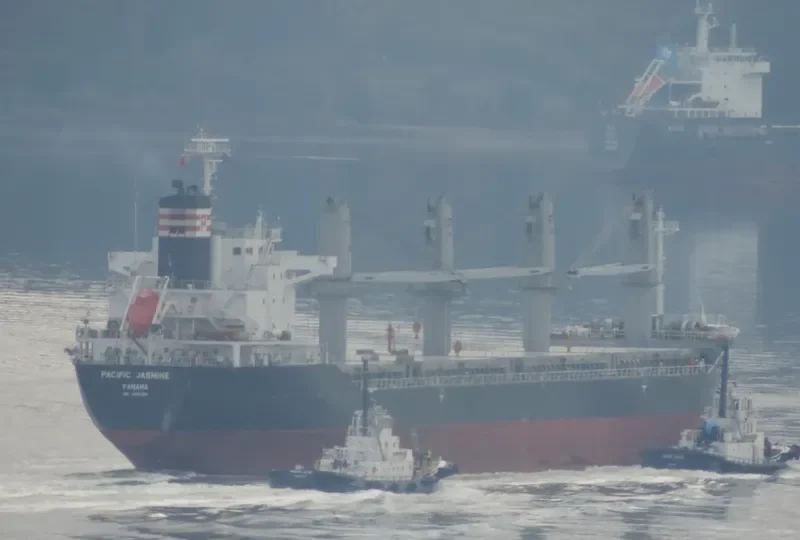 RUBATO Bulk Carrier IMO 9487550 photo 7