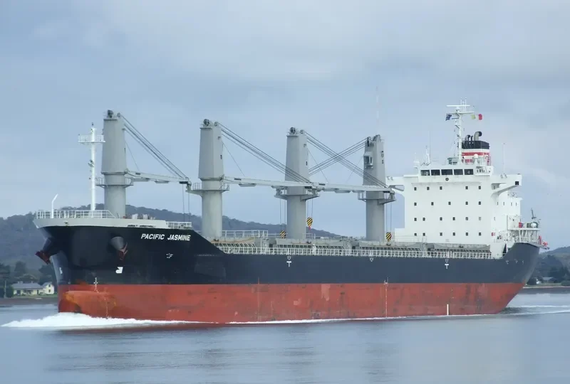 RUBATO Bulk Carrier IMO 9487550 photo 8