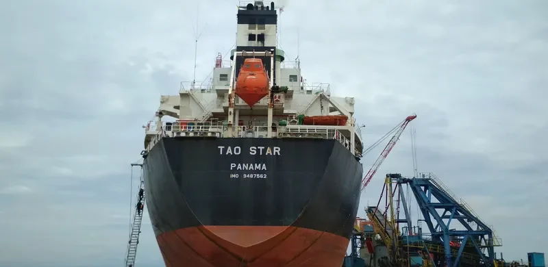 TAO STAR Bulk Carrier IMO 9487562 photo 3