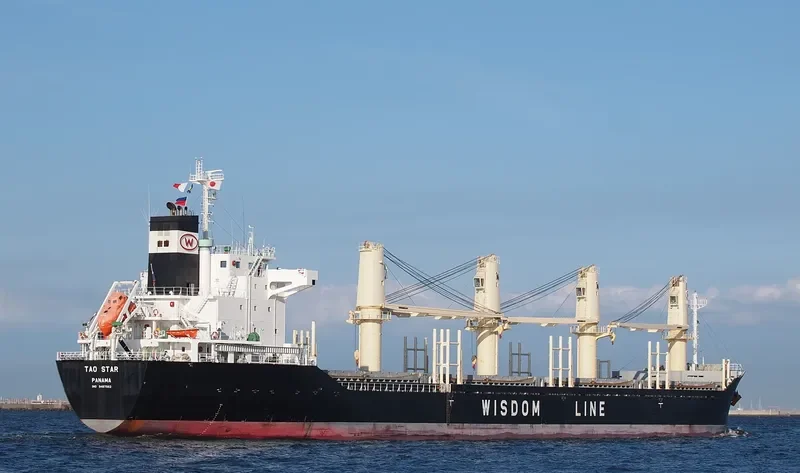 TAO STAR Bulk Carrier IMO 9487562 photo 8