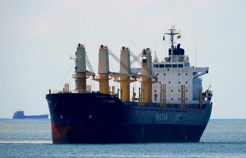TAO BRAVE Bulk Carrier IMO 9487586 photo 2