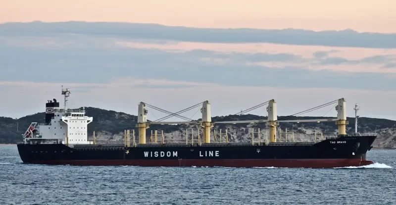 TAO BRAVE Bulk Carrier IMO 9487586 photo 4