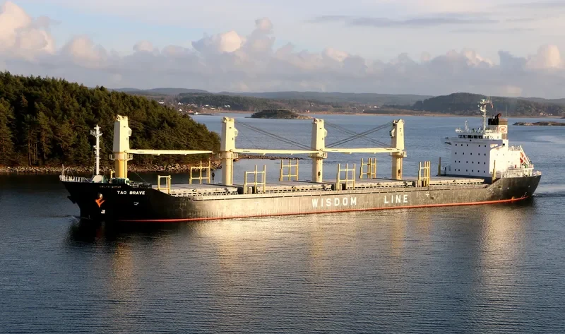 TAO BRAVE Bulk Carrier IMO 9487586 photo 7