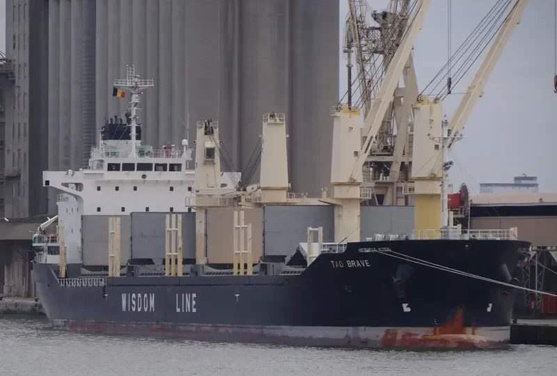 TAO BRAVE Bulk Carrier IMO 9487586 photo 8