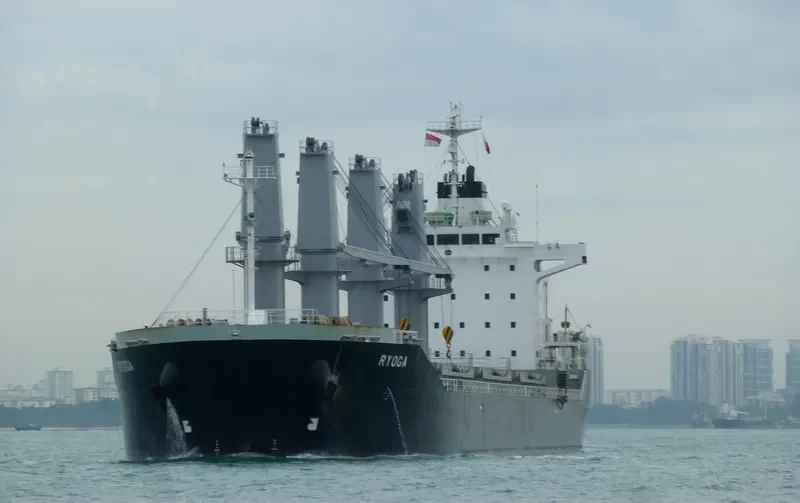 BC RAEDA Bulk Carrier IMO 9487598 photo 2