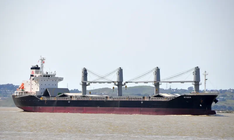 BC RAEDA Bulk Carrier IMO 9487598 photo 5