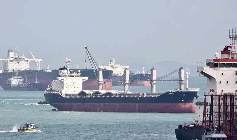 BC RAEDA Bulk Carrier IMO 9487598 photo 7