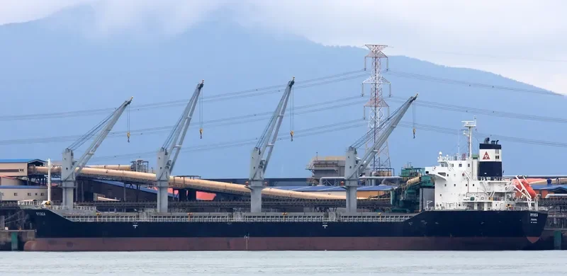 BC RAEDA Bulk Carrier IMO 9487598 photo 9