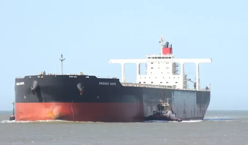 INDIGO HOPE Bulk Carrier IMO 9487639 photo 2