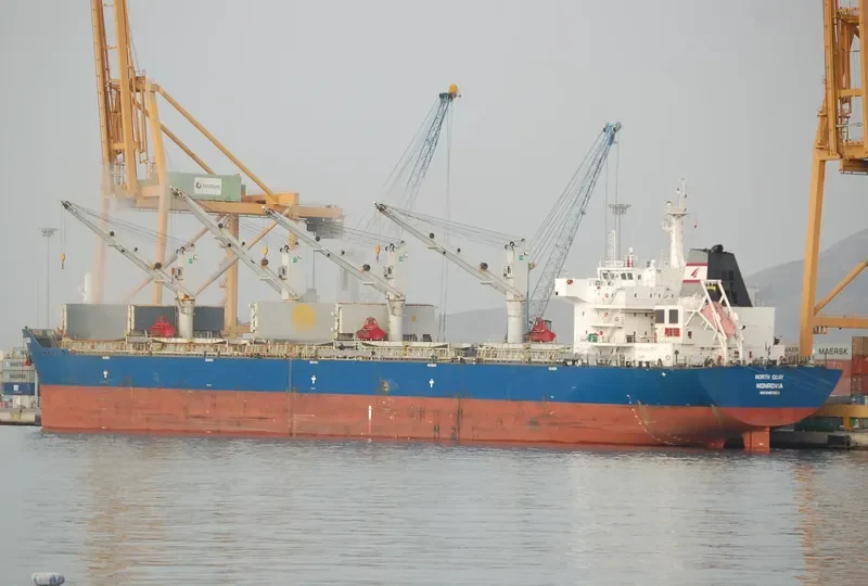 SINO EXPRESS Bulk Carrier IMO 9487653