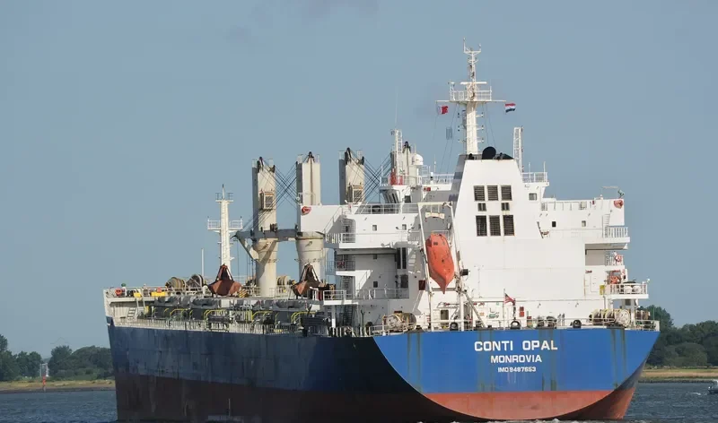 SINO EXPRESS Bulk Carrier IMO 9487653 photo 8