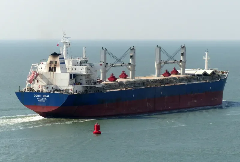 SINO EXPRESS Bulk Carrier IMO 9487653 photo 10