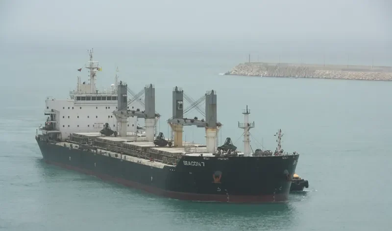 SEACON 7 Bulk Carrier IMO 9487665 photo 3