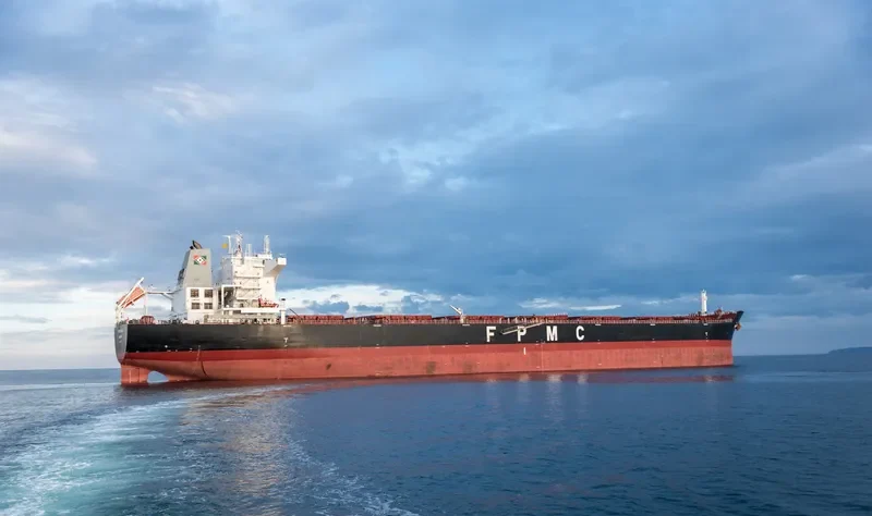 FPMC B 105 Bulk Carrier IMO 9487677 photo 4