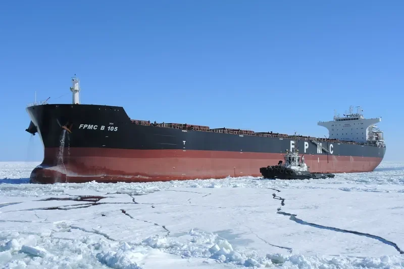FPMC B 105 Bulk Carrier IMO 9487677 photo 7