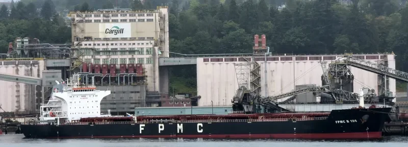 FPMC B 106 Bulk Carrier IMO 9487689 photo 5