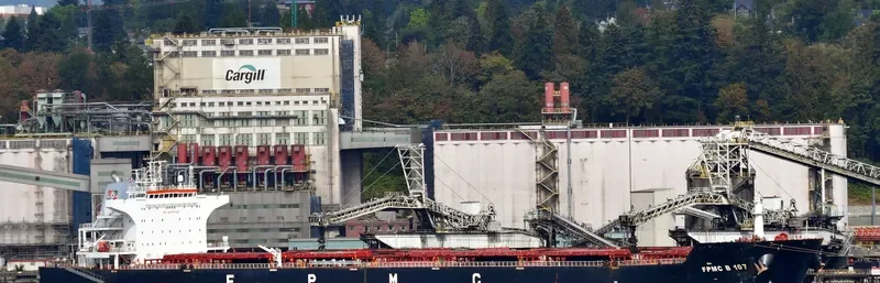 FPMC B 107 Bulk Carrier IMO 9487691 photo 7