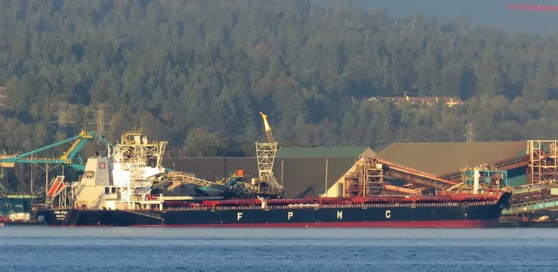FPMC B 107 Bulk Carrier IMO 9487691 photo 8