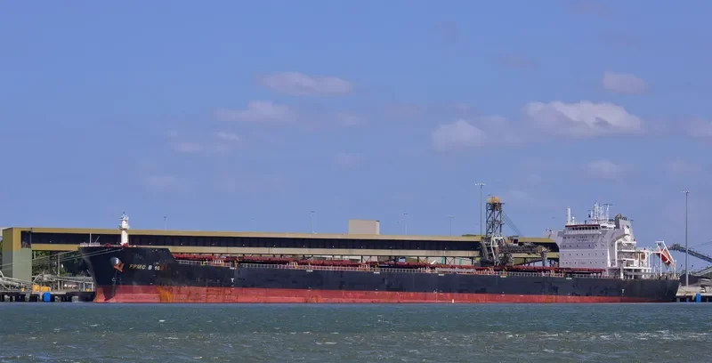 FPMC B 108 Bulk Carrier IMO 9487706 photo 10